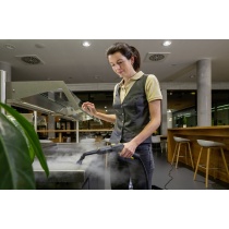 Maquina de vapor SG 4/4 Profesional